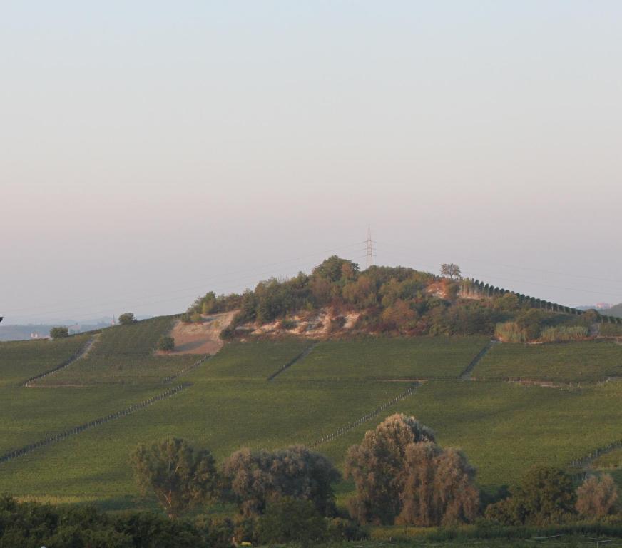Villa Vecchio Castagnito Zewnętrze zdjęcie